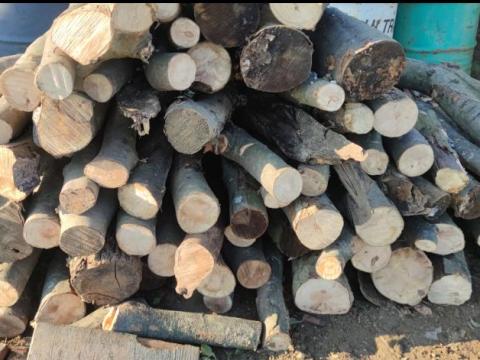 Téli Tűzifa Akció