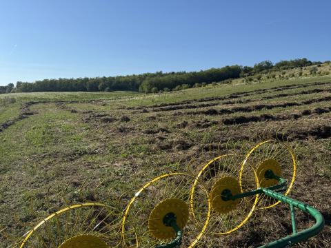 Kiskertek, szőlők szántása, talajmarása Móron Kiskertek, szőlők szántása, talajmarása Móron
