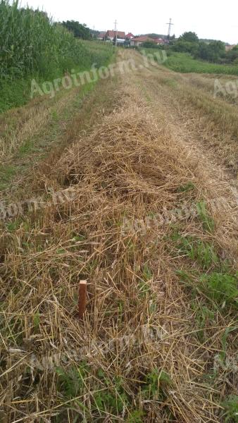 Nyírteleken szántóföld eladó 1,0976 ha