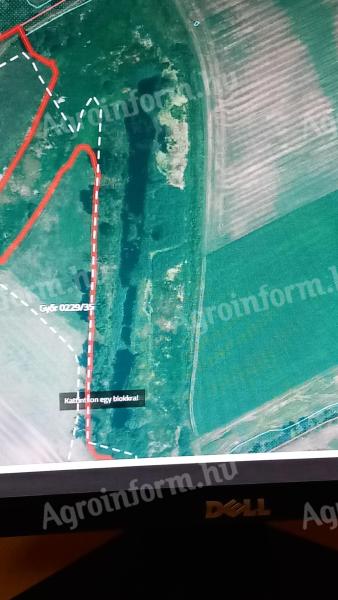 Eladó legelő Győrben