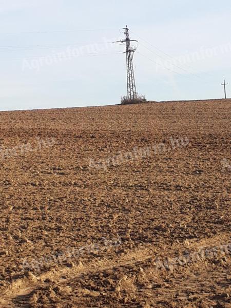 Eladó 9 hektáros termőföld akár napelemparknak