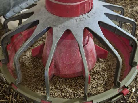 Baromfi etető tálcák eladók