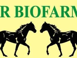 Megbízható lovászt, lovászlányt vagy lovász párt keresek