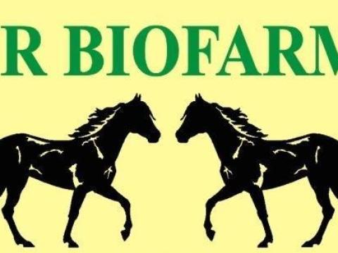 Megbízható lovászt vagy lovászlányt keresünk hosszú távra