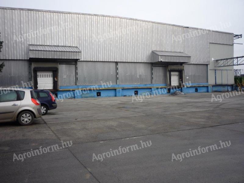 Zalaegerszegen élelmiszeripari üzem és hűtőház eladó