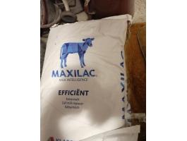 Borjú tejpor eladó, Maxilac 25 kg kiszerelésben