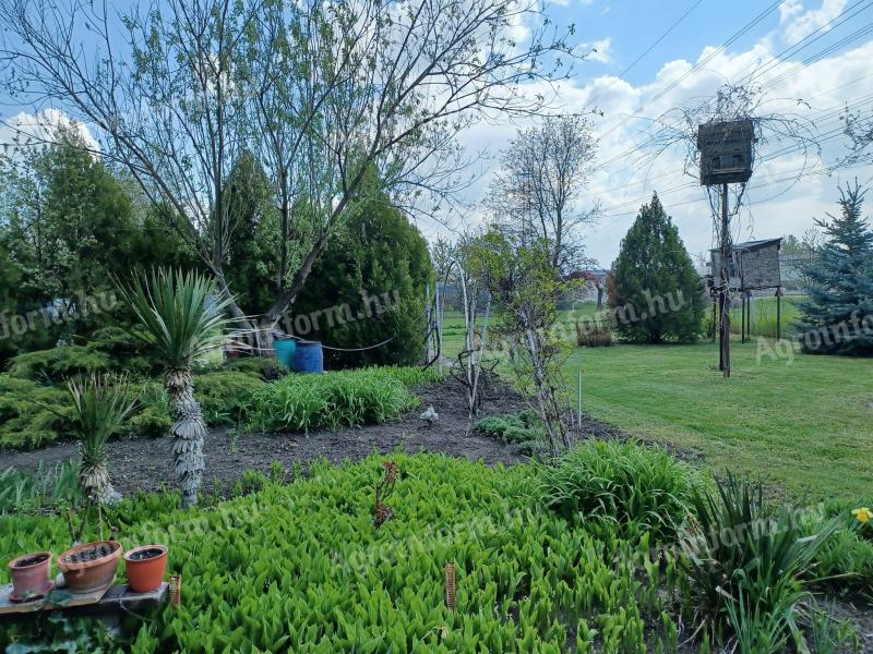 Eladó kert,  gyümölcsös - Győr