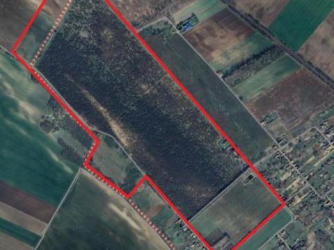 59 ha gyümölcsös és 9 ha szántó eladó Pest vármegyében