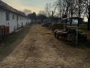 Fajtatiszta Angol Suffolk és Berrichon (juh) kosok eladók!