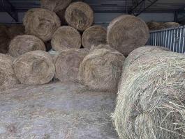 Körbálás széna bála