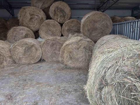 Körbálás széna bála