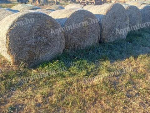 Zabos széna eladó