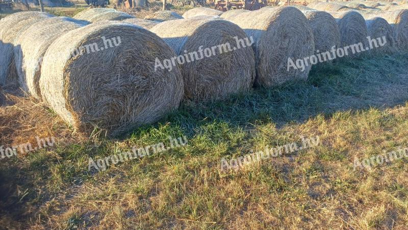 Zabos széna eladó