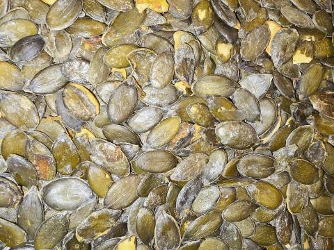 Tökmag ELADÓ! (héjnélküli) > posta megoldható < Tökmag ELADÓ! (héjnélküli) > posta megoldható <