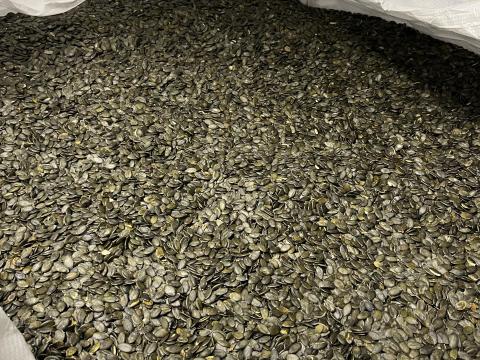 Héj nélküli olajtökmag – tisztított, válogatott, polírozott Héj nélküli olajtökmag – tisztított, válogatott, polírozott