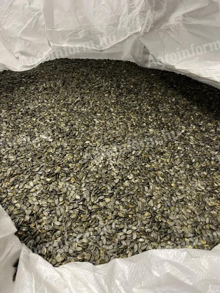 Héj nélküli olajtökmag – tisztított, válogatott, polírozott