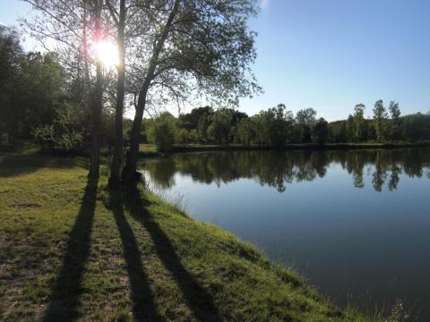 Halastó horgásztó eladó