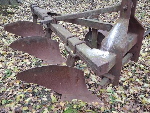 3 fejes eke eladó 3 fejes eke eladó