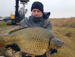 Feeder ponty 6-9 kg eladó, 2600 Ft/kg