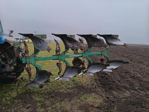 4-fejes Regent eke azonnal eladó