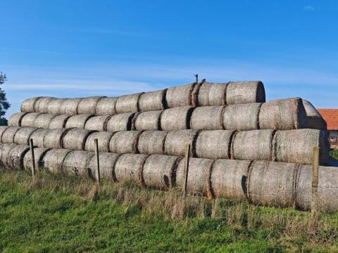 Szalma körbálák eladók Szabadkígyóson – 2023-as és 2024-es betakarításból Szalma körbálák eladók Szabadkígyóson – 2023-as és 2024-es betakarításból