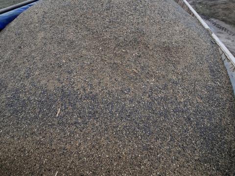 Napraforgó ocsú 8 tonna csak egyben eladó Napraforgó ocsú 8 tonna csak egyben eladó