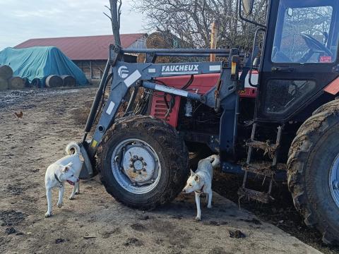 Mtz homlokrakodó Mtz homlokrakodó