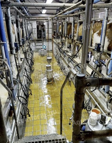 Delaval fejőberendezés 2 x 8