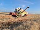 Teljes mértékben felújított Claas Dominátor 106 eladó
