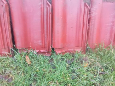 Békéscsaba II Jamina mázas cserép, 200 db eladó Kiskunfélegyházán