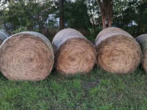 2-3 Osztályú szálastakarmányt keresek megvételre!