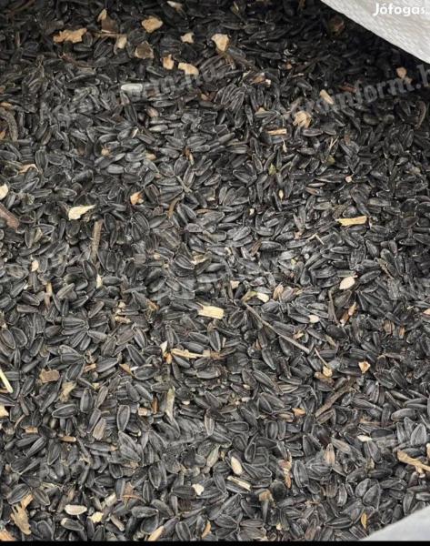 Eladó napraforgó, kombájn tiszta, kis és nagy tételben