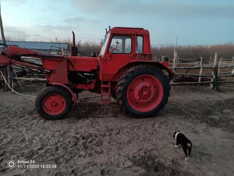 MTZ 80 frissen felújított motorral, új hengerfejjel, 1 éves gumikkal eladó MTZ 80 frissen felújított motorral, új hengerfejjel, 1 éves gumikkal eladó