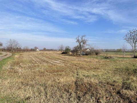 Szántóföld eladó Orosházán