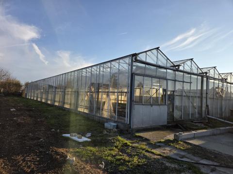 Eladó üvegház Eladó üvegház