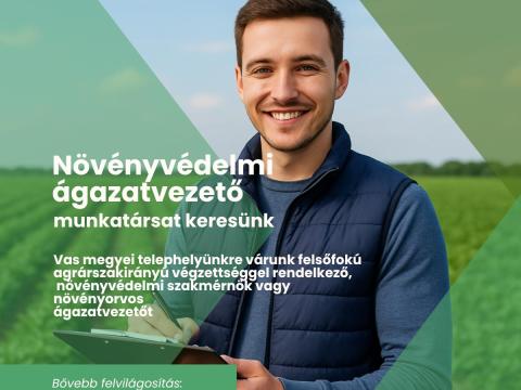 Növénytermesztési ágazatvezető