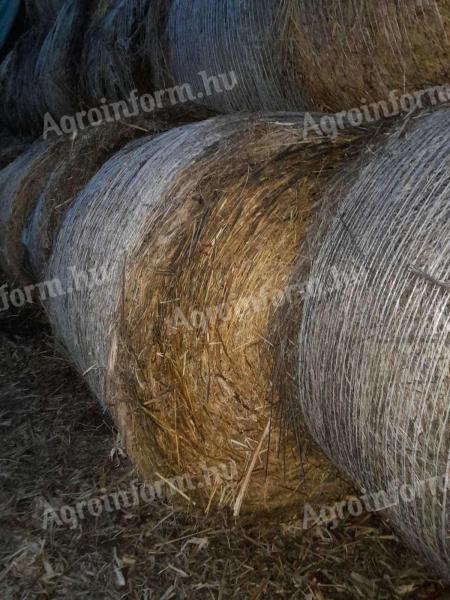 Szudáni fű széna szalma