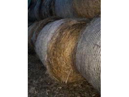 Szudáni fű széna szalma