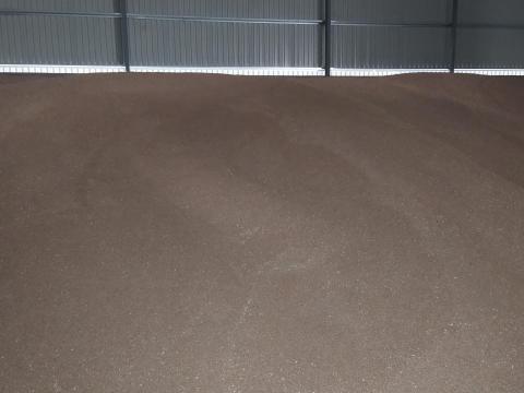 Eladó 300 tonna malmi búza