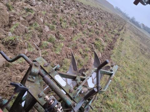 Mezőgazdasági bérmunka