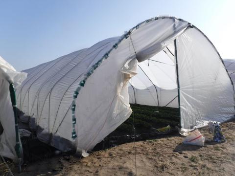 Haygrove Super Solo fóliaváz eladó Csemőn Haygrove Super Solo fóliaváz eladó Csemőn