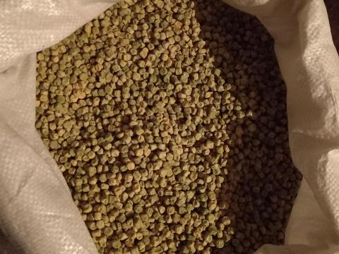 Takarmányborsó Takarmányborsó