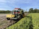 Gyökérzöldség, hagyma, zeller szedő gép eladó