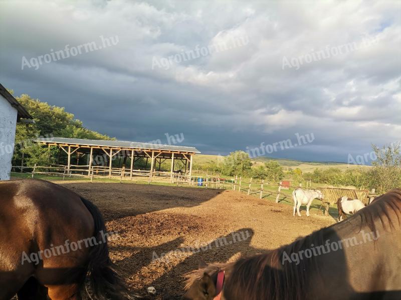 Lovasbirtok+családiház+wellnes NEM KIFÜGGESZTÉS KÖTELES
