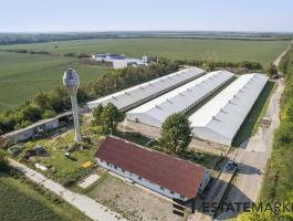 Sertéstelep hízlalda eladó Fejér megyében, 7200 férőhelyes
