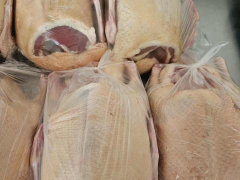 Tanyasi pecsenyekacsa eladó Hortobágyon Tanyasi pecsenyekacsa eladó Hortobágyon