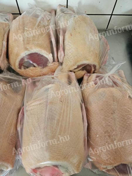 Tanyasi pecsenyekacsa eladó Hortobágyon