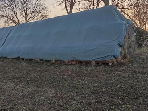 Lucerna széna Lucerna széna