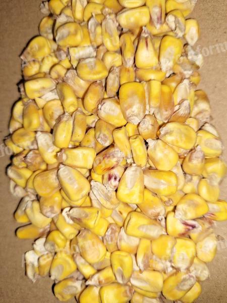 Árpa és kukorica eladó