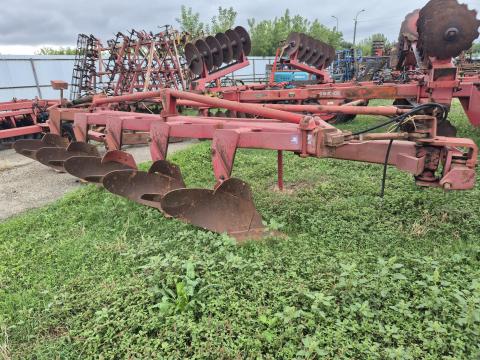 5-6 fejes Condor ekék eladóak 5-6 fejes Condor ekék eladóak